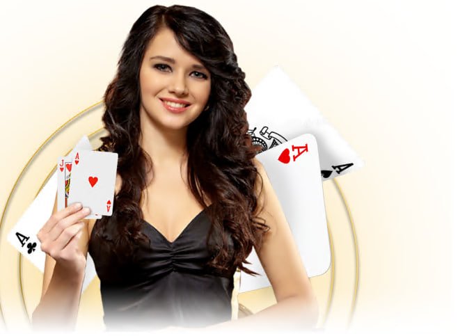 suncity8